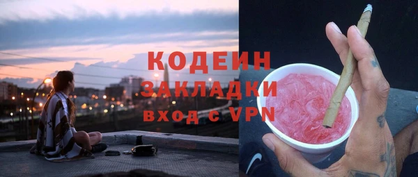 хмурый Алексин