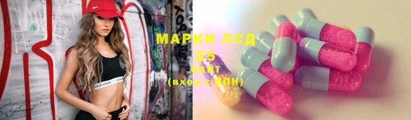 ECSTASY Алзамай