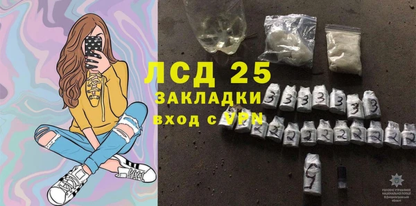 хмурый Алексин