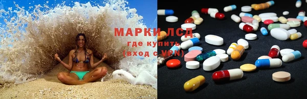 ECSTASY Алзамай