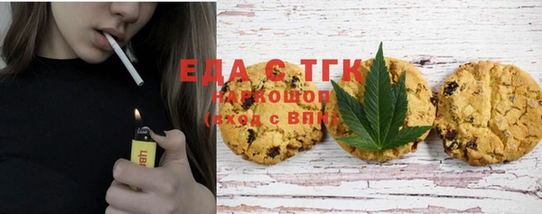 хмурый Алексин