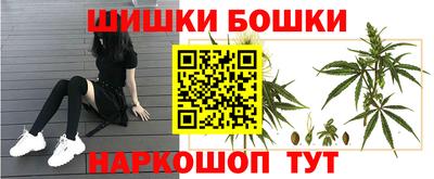 герыч Дубна