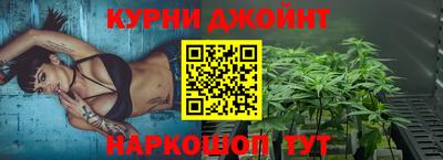 индика Заводоуковск